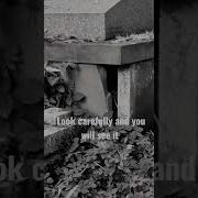 The Scariest And Most Haunted Tomb Around WARNING Shorts Cemetery
