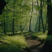 The Breathing Forest Original Composition