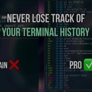 From Plain To Pro Command History Tool Productivity Cli Tool D Code