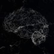 Plexus Brain 03