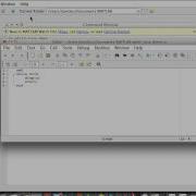 Lab 5 While Loops