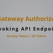 How To Invoke API Endpoint Using Access Token Amazon API Gateway Authorization P6