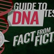 How Does DNA Testing Work Complete Guide