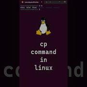 9 10 Basic Linux Commands Cp Command In Linux Shorts Linux Linuxcommands