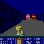 Wolfenstein 3D Episode 3 Level 10 Secret Level