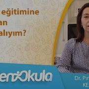 Tuvalet Eğitimine Ne Zaman Başlamalıyım