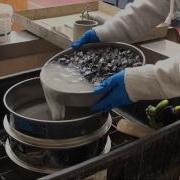 Sieving Method