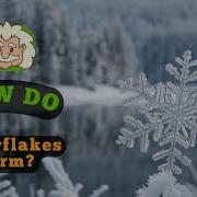 How Do Snowflakes Form The Science Behind Their Shape Symmetry And Why No Two Are Alike