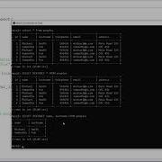 Python MySQL 11 INSERT Multiple Rows Executemany