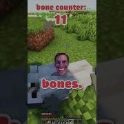 THE RAREST WOLF IN MINECRAFT