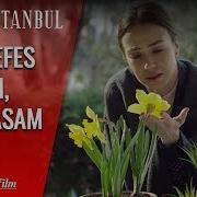 Bir Nefes Alsam Koklasam Seni Zalim İstanbul 3 Bölüm