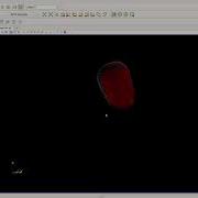 Point Cloud Face Semantic Segmentation