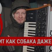 Acustica Audio Squid 3 Moog Sub37 в виде плагина OMG