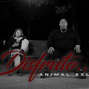 Carla Morrison Animal 2XL Disfruto Tendencia TikTokAwards HUSTLEGANG