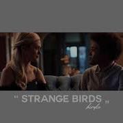 Slowed Down Strange Birds