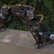 Inchworm Inspired Robot