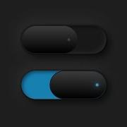 CSS Custom Radio Button UI Design Remake