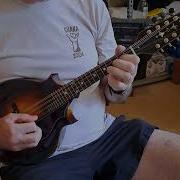 Duff Two Point Mandolin Engelmann Top