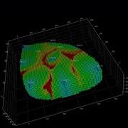 OpenSim Simulation Soil Egg Model