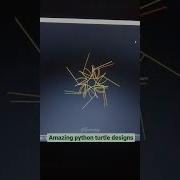 Python Turtle Graphics Coding Status Video Instagram Reels