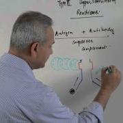 Immunology Lecture 15 Type III Hypersensitivity Reactions 1 6