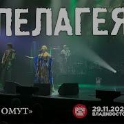 Пелагея Тихий омут Live Владивосток 29 11 2024