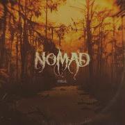 Feral
