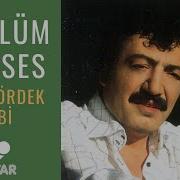 Müslüm Gürses Yeşil Ördek Gibi