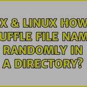Unix Linux How To Shuffle File Names Randomly In A Directory 4 Solutions