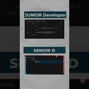 When A Junior Developer Meets A Senior Developer
