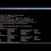 Bash Scripting Part II