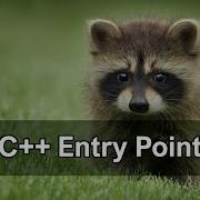 C Entry Point Raccoon Game Engine
