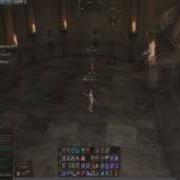 Lineage 2 Summoner Skill Bug
