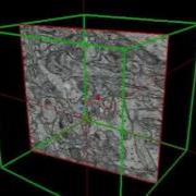 Volume Viewer