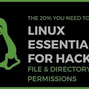 Linux Essentials For Hackers 4 File Directory Permissions