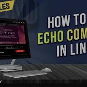 How To Use Echo Command In Linux 7 Practical Examples LinuxSimply