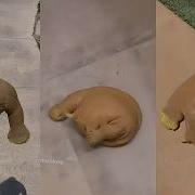 Dropping A Stretch Monkey It Was So Much Fun Funny Video