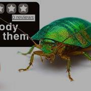I Ordered 0 Review Pets Online