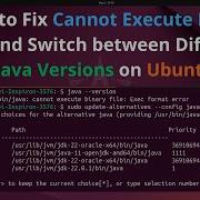 How To Fix Cannot Execute Binary File And Switch Between Different Java Versions On Ubuntu