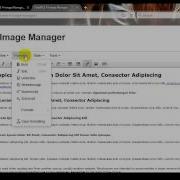 TinyMCE 4 Image Manager