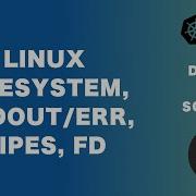 5 DevOps From Scratch File Descriptors Standard Output Error Pipe Grep File System Hierarchy