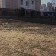 Дерби Сдача BH Харьков 15 03 2015
