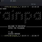 Solve Brainpan 1 Tryhackme Challenge Tryhackme