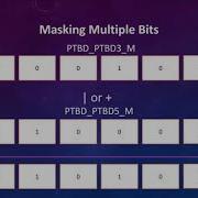 Masking Multiple Bits S08