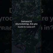 Data Analyst Cybertech Dataanalytics Dataanalyst Datascience Dataanalytics Data Dating