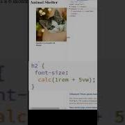 CSS Responsive Font Size