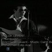 Haluk Levent Nerdesin
