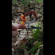 Setting Up Tree Sampling Quadrat Part II