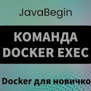Основы Docker команда Docker Exec 2023