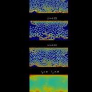 Three Spot Species Reaction Diffusion Simulation